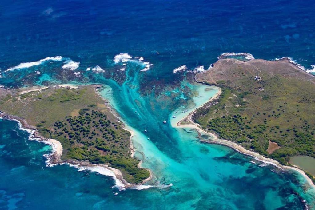 Studio Avec Grande Piscine, Plage Cannelle Caraibes Saint-Francois  Zewnętrze zdjęcie